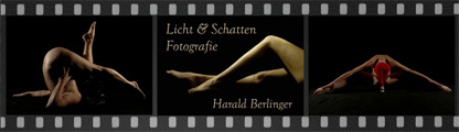 LINK zu: Harald Berlinger "Licht & Schatten Fotografie"